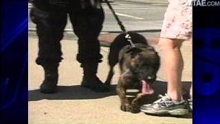 Emotional Service Remembers K-9 Cop Left In Car
