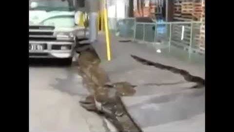 Ground Liquefaction in Japan after earthquake.