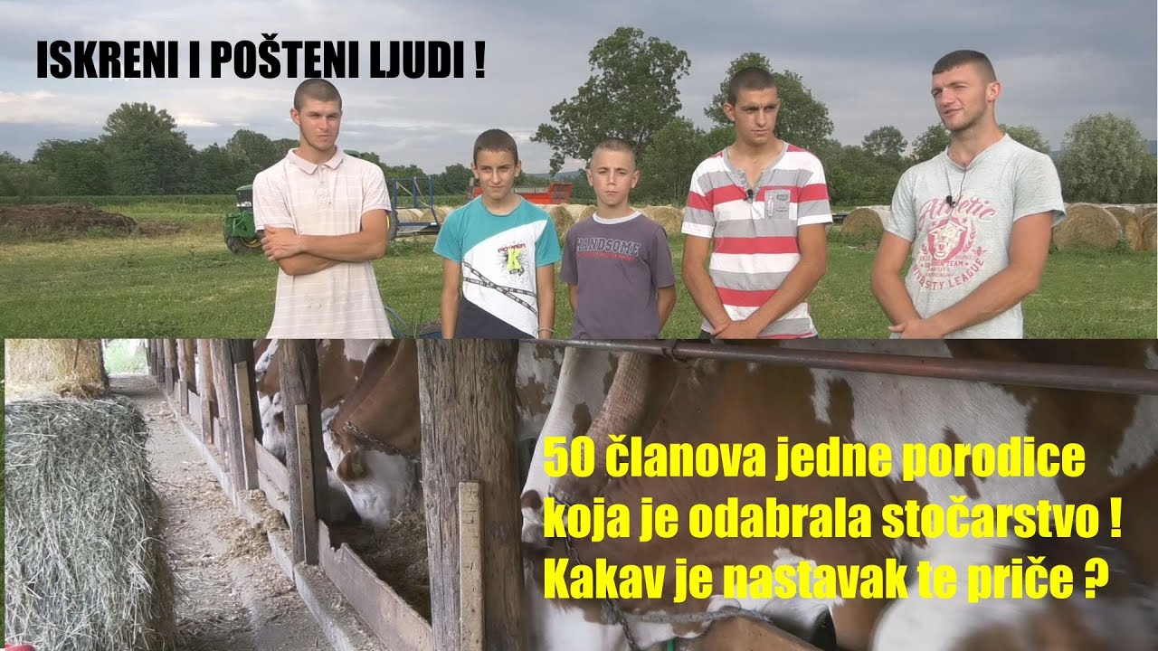 50 članova PORODICE koja je odabrala STOČARSTVO -3 500 litara mleka DNEVNO- ali-OVO JE ISKRENA PRIČA
