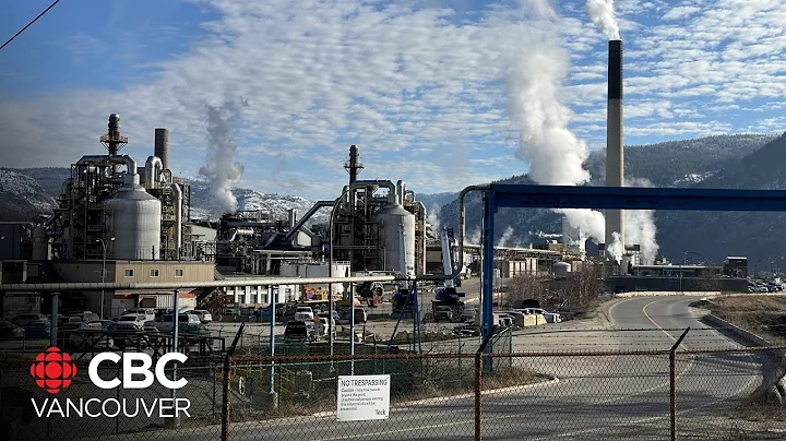 Tariffs an 'existential threat' to Canada's economy: Mining Association of B.C.