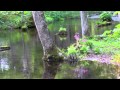 自然の音景色Ｌ・小川の辺（小鳥）・Nature Sound