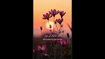 #سورة_النساء #الشيخ_ياسر_الدوسري #قران_كريم_بصوت_جميل_جدا #حالات_واتس #اكسبلور #لايك