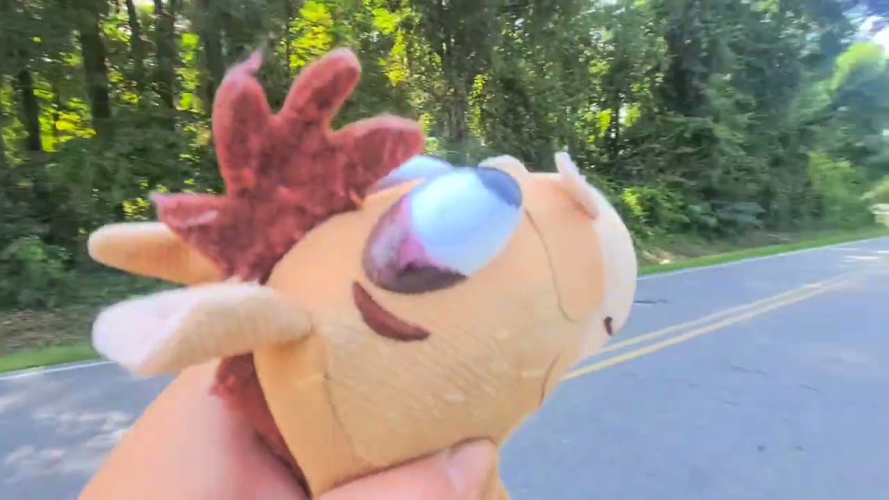 Donkey horses Zesty Dance move Too