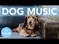RELAXING ASMR FOR DOGS! Soothing Songs to Help Your Dog Sleep!