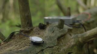 Treverk 11 - Ekebergparken