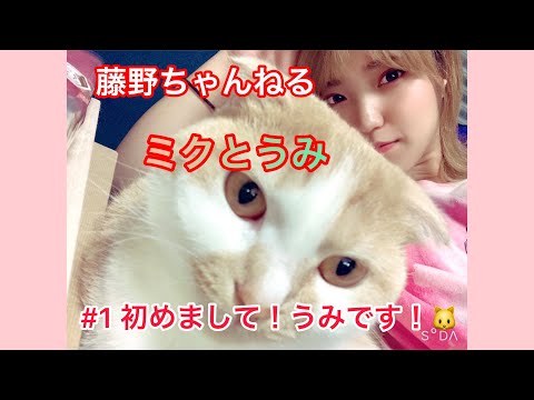 藤野ちゃんねる【うみとミク】#1 初めまして！うみです！