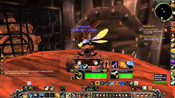 Missing Reports - World of Warcraft Quest