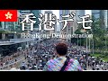 【香港デモ】デモ参加者にインタビューしようとしたら想定外の展開に...【Hongkong protest demonstration】