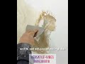 ₹300/Sqft Italian Marble Texture Wall 😱 | Calcino Finish Step by Step | Luxury Wall Design 🔥#facts