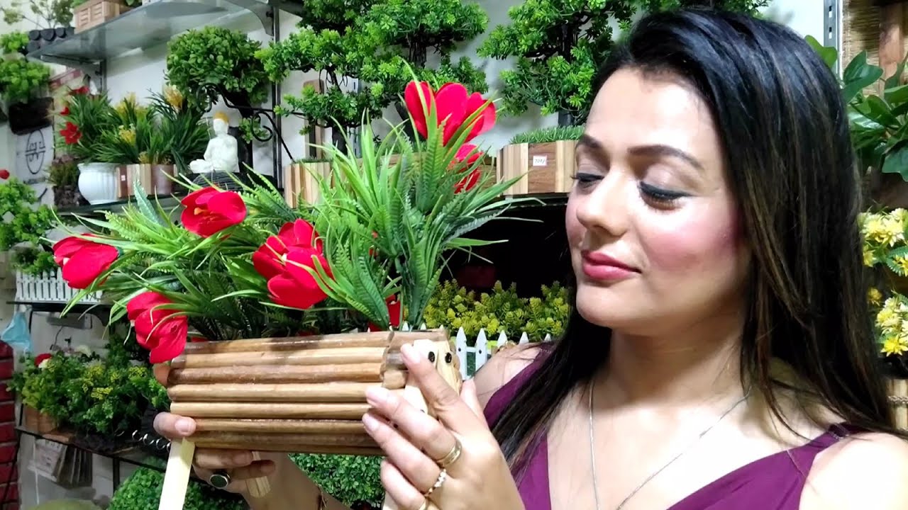 TVC Nature's Creation Home Decor Indoor Plants in India