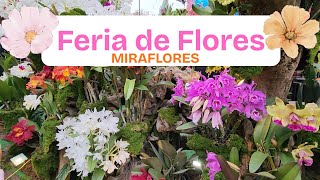 🌸 Feria de Flores Miraflores | Flower Festival in Lima