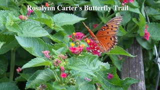 Rosaylnn Carter's Butterfly Trail, Plains, Georgia