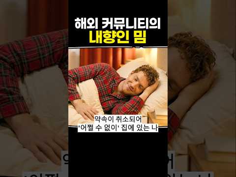 해외 커뮤니티의 내향인 <strong>밈</strong>