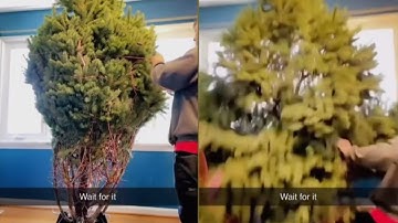 Tips To Safely Unwrap Your Christmas Tree