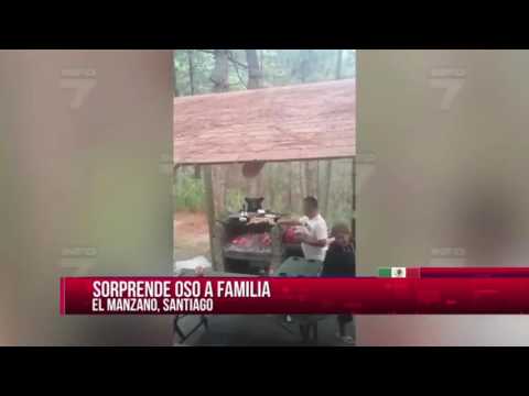 Parrillero regiomontano pelea por su cabrito con un oso en Santiago