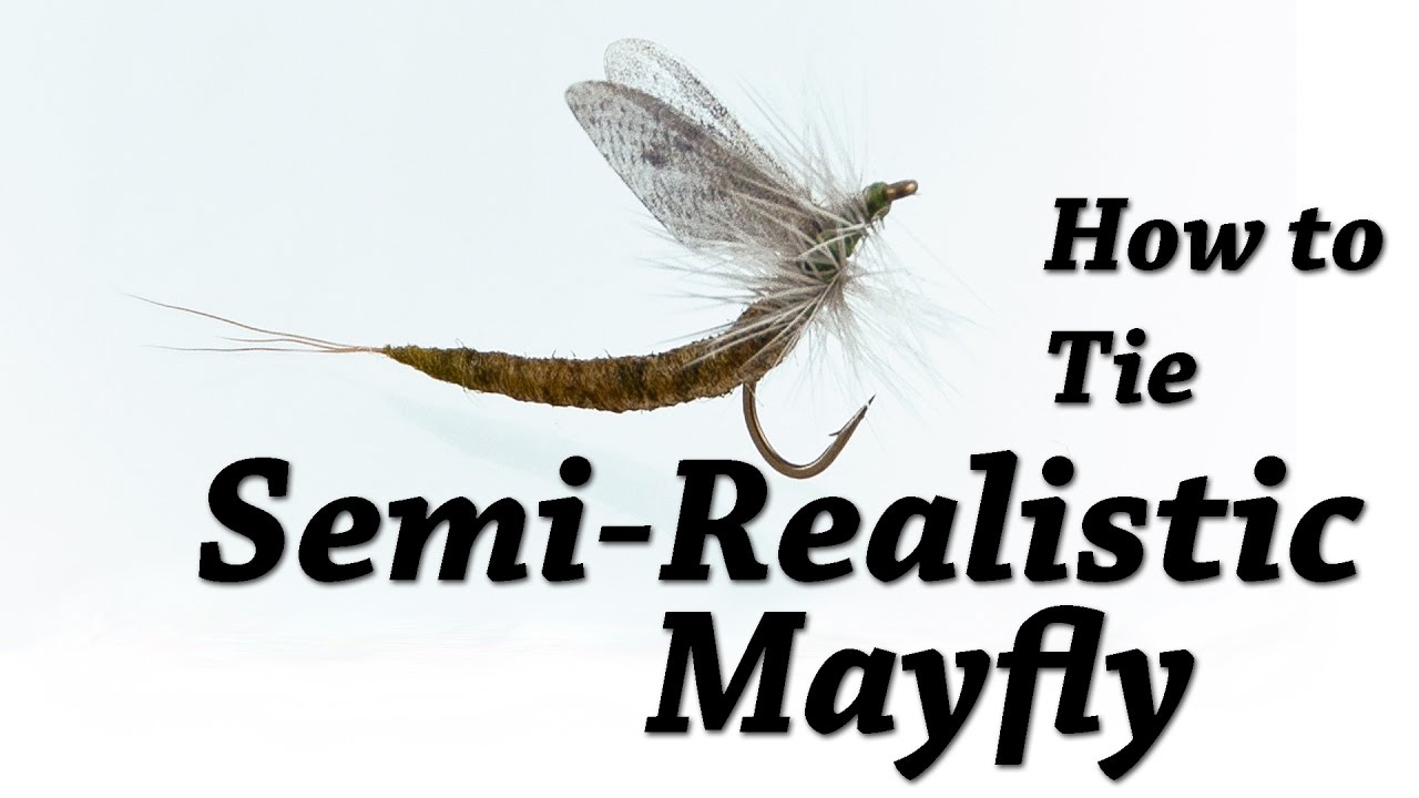 Semi Realistic Mayfly Fly Tying for Trout YouTube