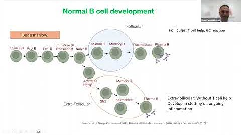 SPCTT Webinar for Oct 2024 - Immune Cell Interactions role in GVHD and immune reconstitution