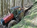 Spravilo lesa z dvobobenskim vitlom Tajfun 2x55 in traktorjem Valtra Valmet 8350