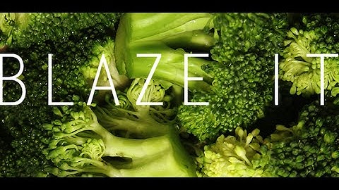 Magic Duels Origins First Takes: Sultai Tutelage