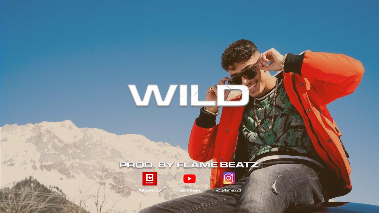 [FREE] Mero x Dardan x Azet x Gzuz Type Beat - "Wild" Dark Trap Type Beat