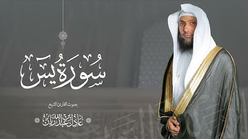 سورة " يس " القارئ: عادل ريان || المصحف المرتل