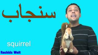 تعليم اللغة العربية للأطفال مع رشيد: أسماءالحيوانات Learn Arabic with Rachid:The Animals l