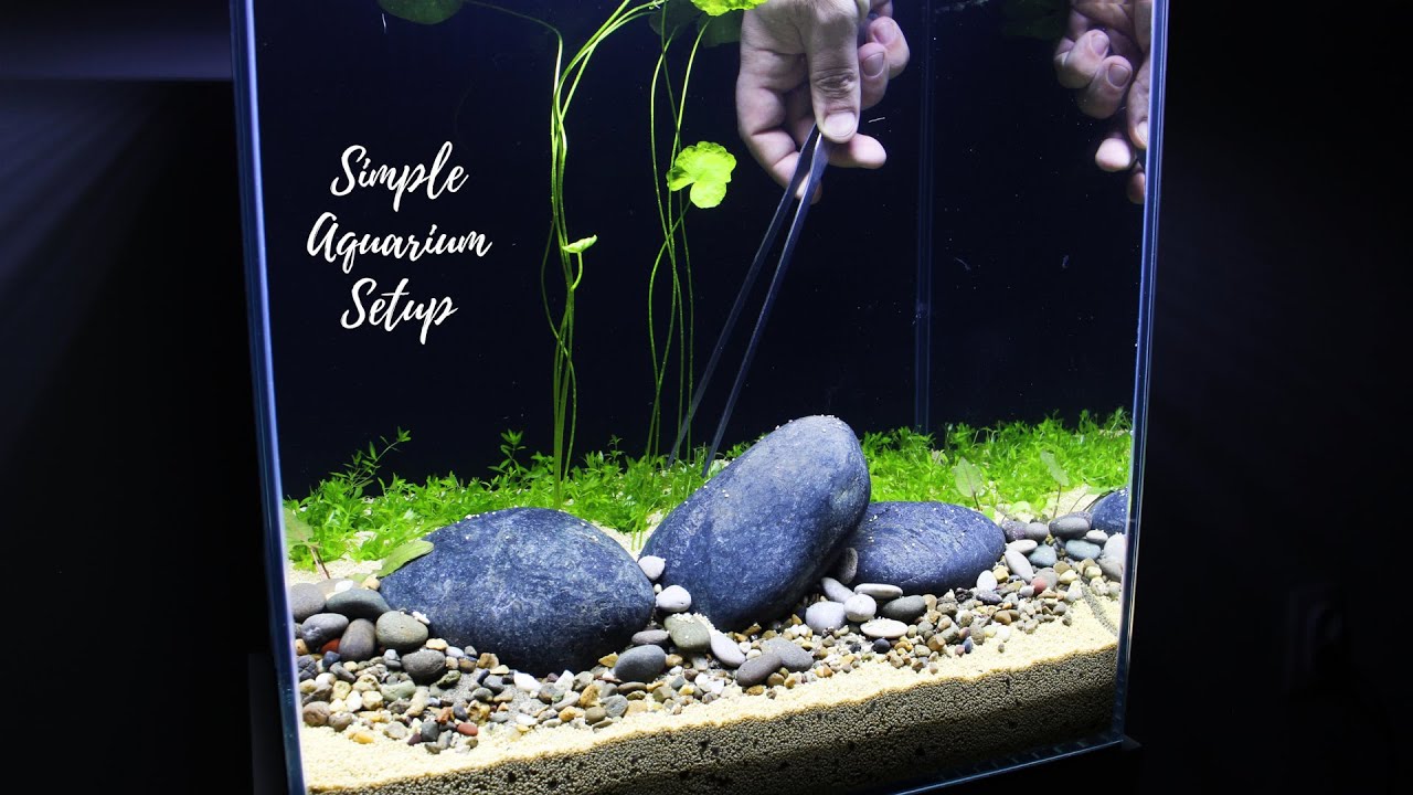 SIMPLE AQUARIUM SETUP, Step By Step