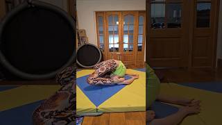 Croc Into Straight Leg Cheststand