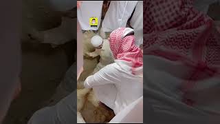 الصلاة على والدة الشيخ أحمد العبيكان رحمها الله تعالى في الحرم المكي ودفن الفقيدة بمقبرة الشهداء