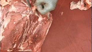 Beef Hindquarter Thick Flank Primal Preparation