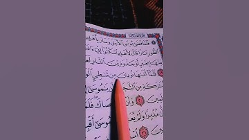 اكتب_شي_توجر_عليه اجر لي ولكم بمثل _القاريء ماهر المعيقلي #تلاوة_خاشعة #سورة _القصص#صلوا_على_النبي