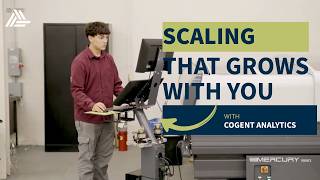 40 Years Strong: How Matik Inc. Used Consulting to Keep Growing | Cogent Analytics