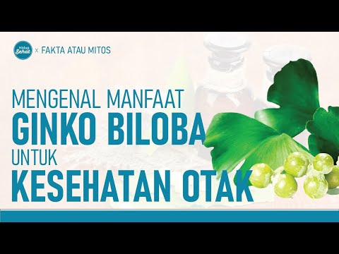 Video: Informasi Obat Ginkgo: Apa Manfaat Ginkgo Bagi Tubuh Anda