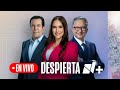 Indagan supuesto centro de huachicol a metros de oleoducto de Pemex | Despierta - 11 de agosto 2026