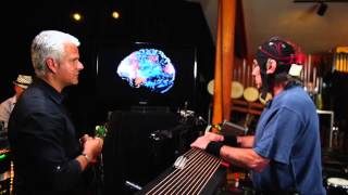 Rhythm & The Brain: Superorganism