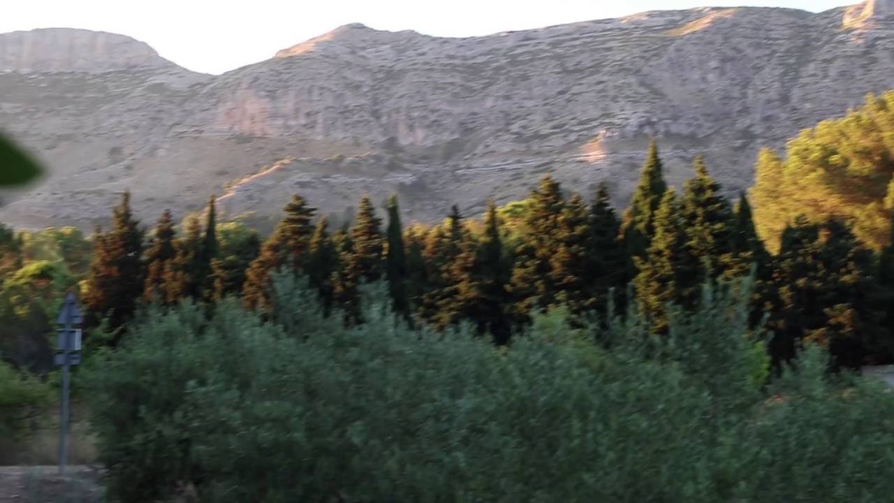 Un passeig per la Drova