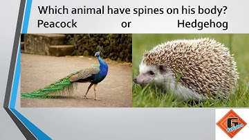 Gohar Science Book 2, Chapter 1, Lecture 6