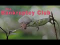 The Bankruptcy Club