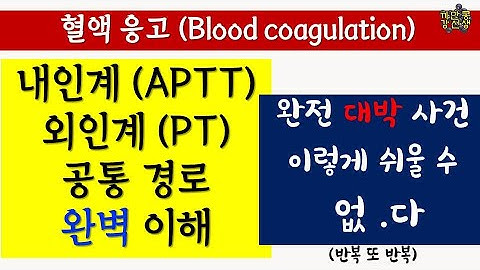 지혈 응고 과정 어려운 부분 / Prothrombin time (PT)/ APTT 추가