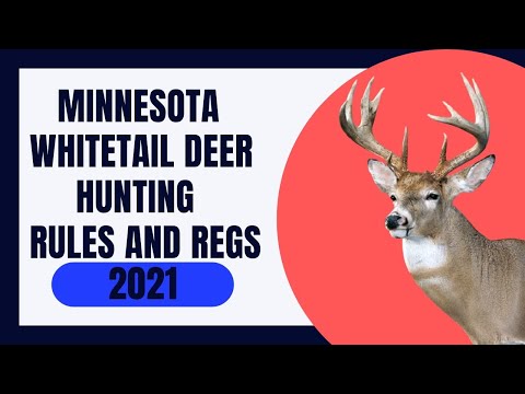 Minnesota Whitetail Deer Hunting Rules and Regs 2021