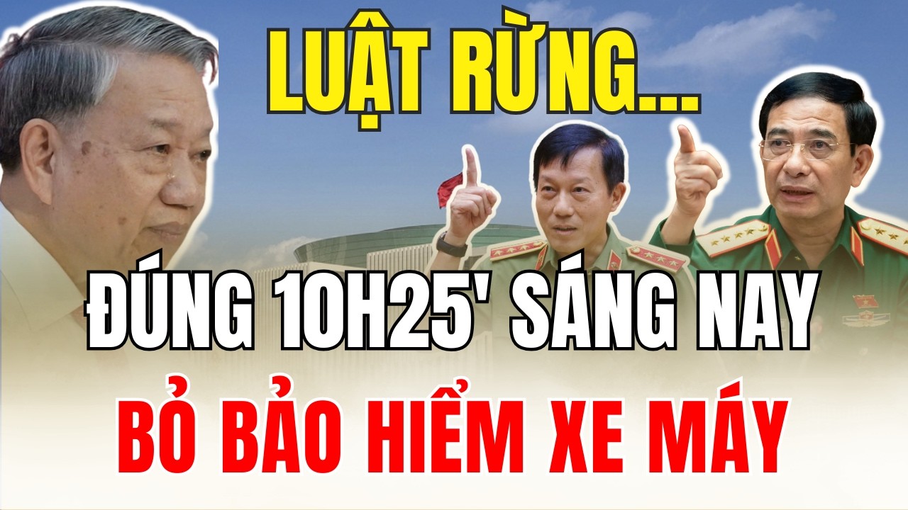 Tin tức việt nam mới nhất ngày 10/3/2026 ✈ Tin Nóng Chính Trị Việt Nam và Thế Giới