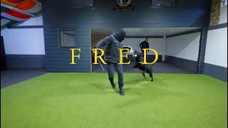 Fred the German shepherd - Family Protection Dog by Protection Dogs WorldWide 16,776 views 10 days ago 5 minutes, 42 seconds