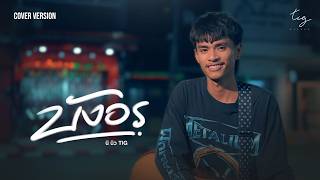 บังอร - นิ นิว  TIG  Original นิว พงศกร