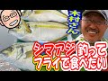 木村尚さん シマアジ釣ってフライにしたいだけ！【千葉・松丸】