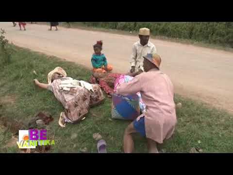 Velonoro Bevanitika Morga