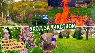 🇺🇲 🌲Сезон газонокосилки начался / Сокращаю канал / Покосил, убрал участок / Мусор на территории