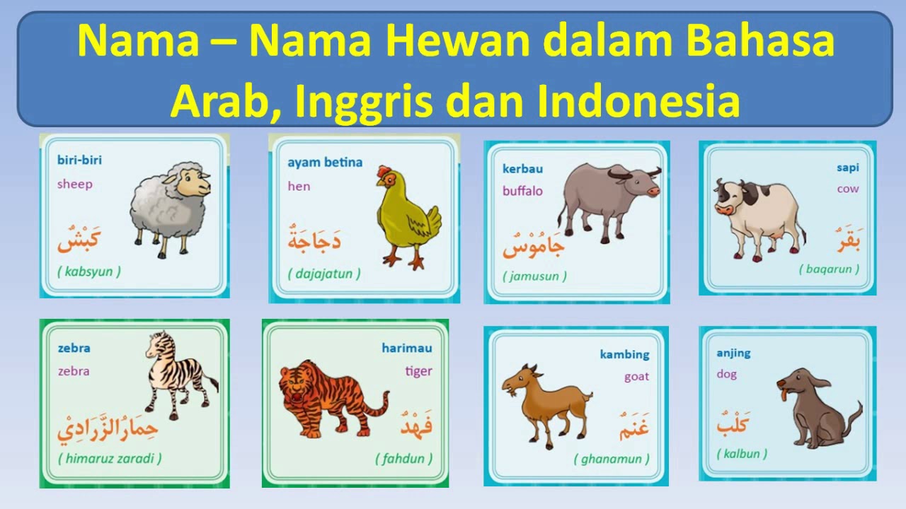 Nama - Nama Hewan dalam Bahasa Arab, Inggris dan Indonesia (Terlengkap