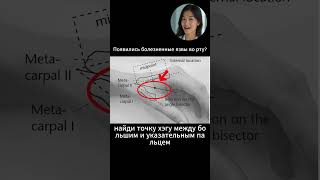 Появились болезненные язвы во рту? #восточнаямедицина #здоровье #язваворту