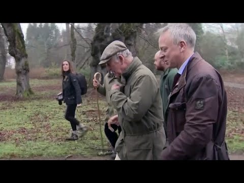 Prince Charles ignores reporter’s questions about Prince Andrew