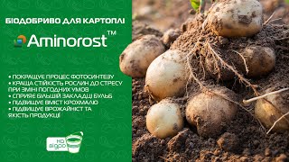 Біодобриво для картоплі Aminorost™